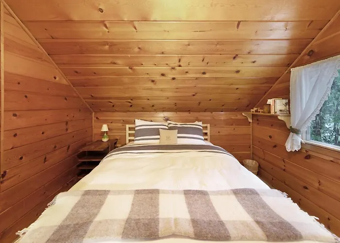 Cozy Cabin In Government Camp